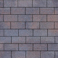  Тротуарная плитка Steinrus Прямоугольник Лайн 200х100х60 мм Рица BackWash: внешний вид